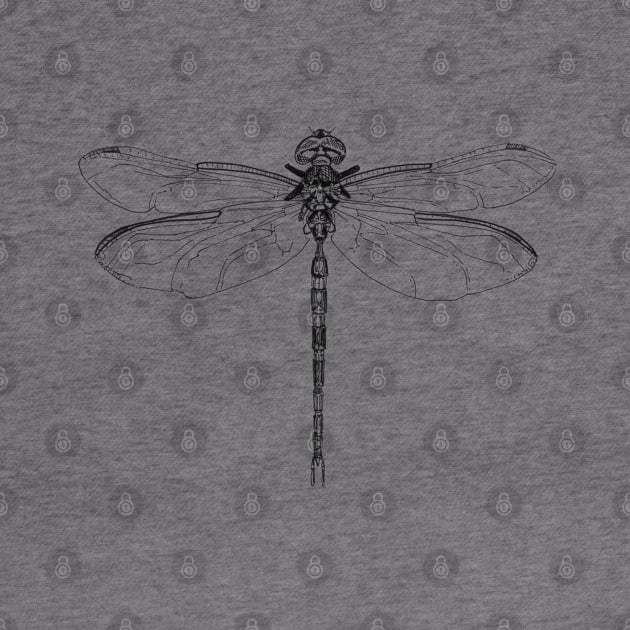 Dragonfly Ink Drawing by Fireside Press